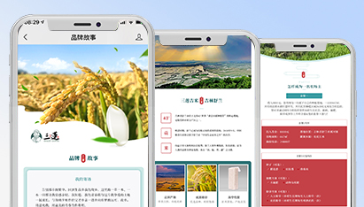上海网页设计效果