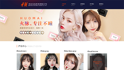 上海微网站开发